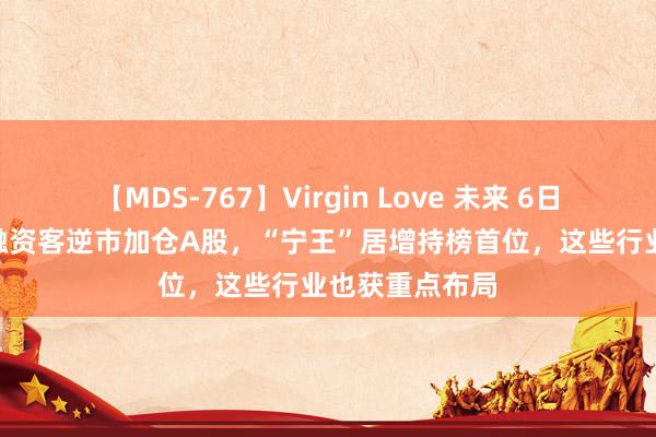 【MDS-767】Virgin Love 未来 6日大买460亿！融资客逆市加仓A股，“宁王”居增持榜首位，这些行业也获重点布局