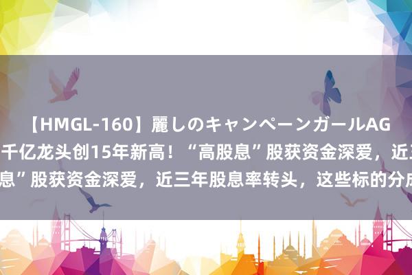 【HMGL-160】麗しのキャンペーンガールAGAIN 12 由奈とエリナ 千亿龙头创15年新高！“高股息”股获资金深爱，近三年股息率转头，这些标的分成“英气”