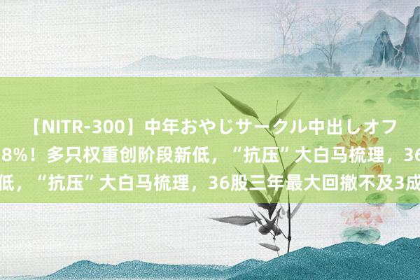 【NITR-300】中年おやじサークル中出しオフ会 BEST 千亿龙头闪崩8%！多只权重创阶段新低，“抗压”大白马梳理，36股三年最大回撤不及3成