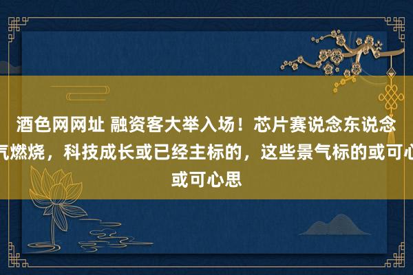 酒色网网址 融资客大举入场！芯片赛说念东说念主气燃烧，科技成长或已经主标的，这些景气标的或可心思