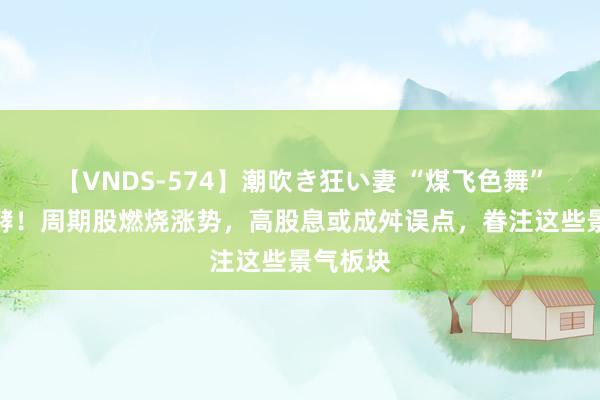 【VNDS-574】潮吹き狂い妻 “煤飞色舞”行情发酵！周期股燃烧涨势，高股息或成舛误点，眷注这些景气板块