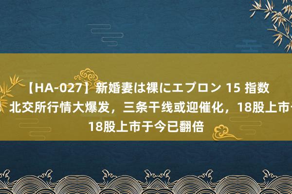 【HA-027】新婚妻は裸にエプロン 15 指数暴涨近6%！北交所行情大爆发，三条干线或迎催化，18股上市于今已翻倍