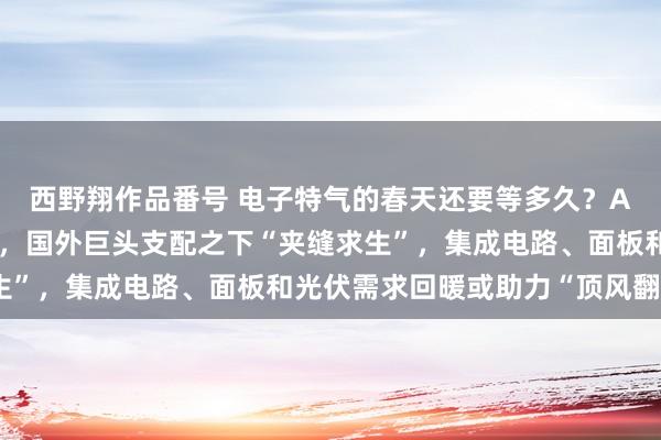 西野翔作品番号 电子特气的春天还要等多久？A股龙头股价、功绩双杀，国外巨头支配之下“夹缝求生”，集成电路、面板和光伏需求回暖或助力“顶风翻盘”