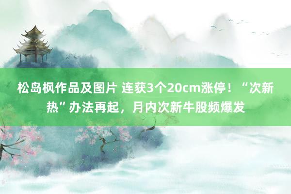 松岛枫作品及图片 连获3个20cm涨停！“次新热”办法再起，月内次新牛股频爆发