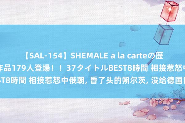 【SAL-154】SHEMALE a la carteの歴史 2 2011～2013 国内作品179人登場！！37タイトルBEST8時間 相接惹怒中俄朝, 昏了头的朔尔茨, 没给德国留少量后路