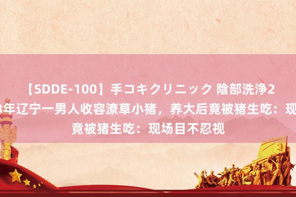 【SDDE-100】手コキクリニック 陰部洗浄20連発SP 03年辽宁一男人收容潦草小猪，养大后竟被猪生吃：现场目不忍视