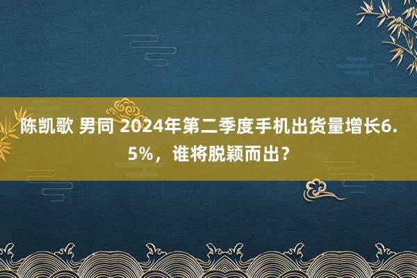 陈凯歌 男同 2024年第二季度手机出货量增长6.5%，谁将脱颖而出？