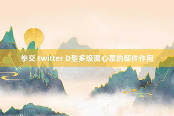 拳交 twitter D型多级离心泵的部件作用