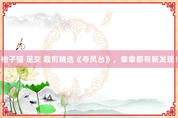 柚子猫 足交 裁剪精选《夺凤台》，章章都有新发现！