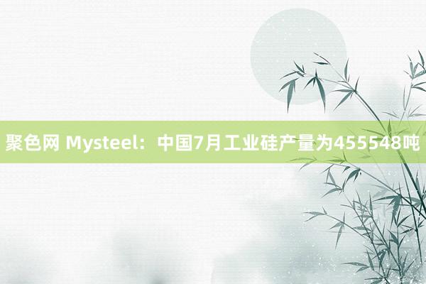 聚色网 Mysteel：中国7月工业硅产量为455548吨