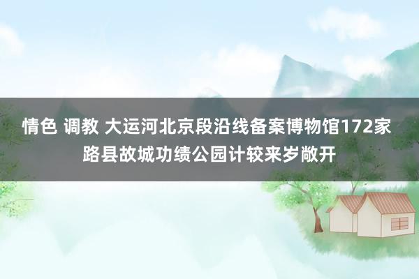 情色 调教 大运河北京段沿线备案博物馆172家 路县故城功绩公园计较来岁敞开