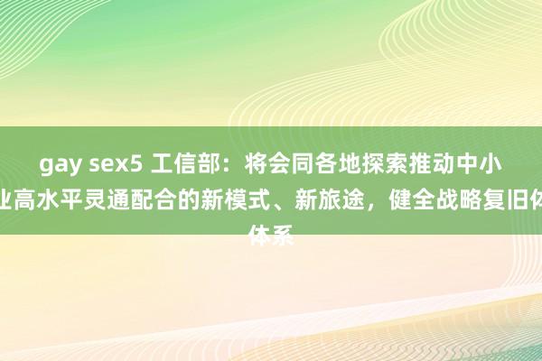 gay sex5 工信部：将会同各地探索推动中小企业高水平灵通配合的新模式、新旅途，健全战略复旧体系