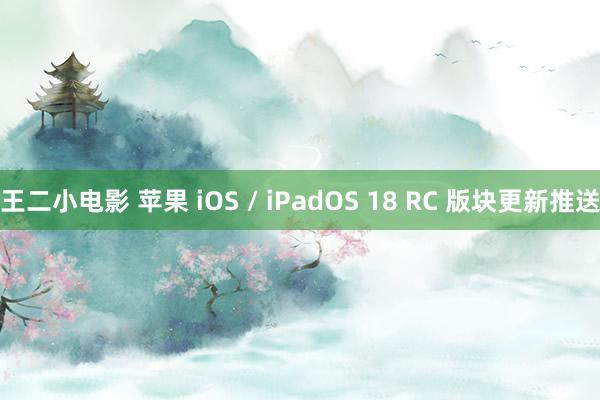 王二小电影 苹果 iOS / iPadOS 18 RC 版块更新推送