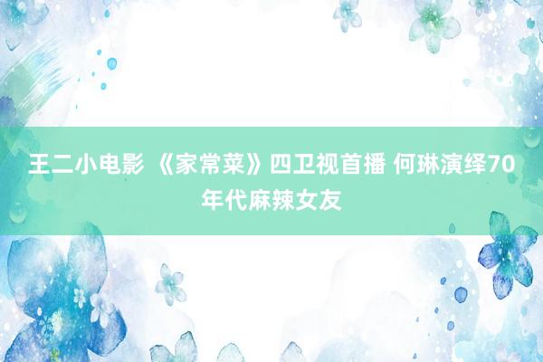 王二小电影 《家常菜》四卫视首播 何琳演绎70年代麻辣女友