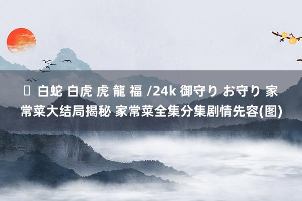 ✨白蛇 白虎 虎 龍 福 /24k 御守り お守り 家常菜大结局揭秘 家常菜全集分集剧情先容(图)