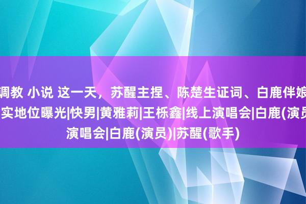 调教 小说 这一天，苏醒主捏、陈楚生证词、白鹿伴娘，陆虎圈内确实地位曝光|快男|黄雅莉|王栎鑫|线上演唱会|白鹿(演员)|苏醒(歌手)