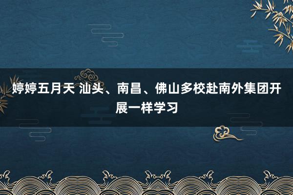 婷婷五月天 汕头、南昌、佛山多校赴南外集团开展一样学习